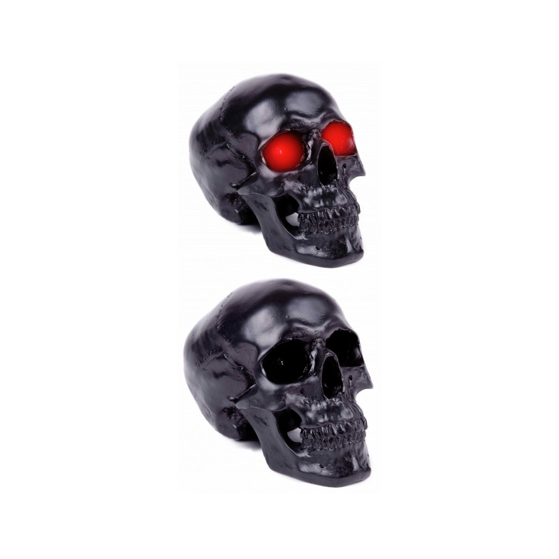 Black skull with light