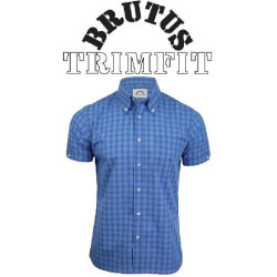 BRUTUS Trimfit shirt....