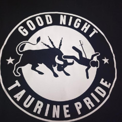Camiseta Good night taurine pride