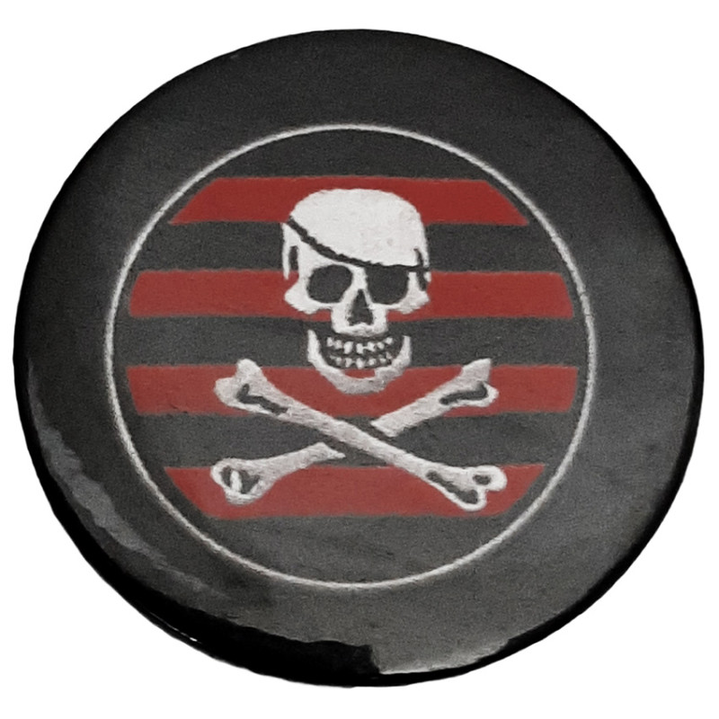 Pirate skull fridge magnet