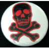Pirate skull plate