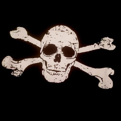Pirate skull t-shirt