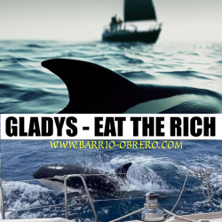 Camiseta Orca Gladys