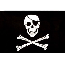 Large Pirate Flag