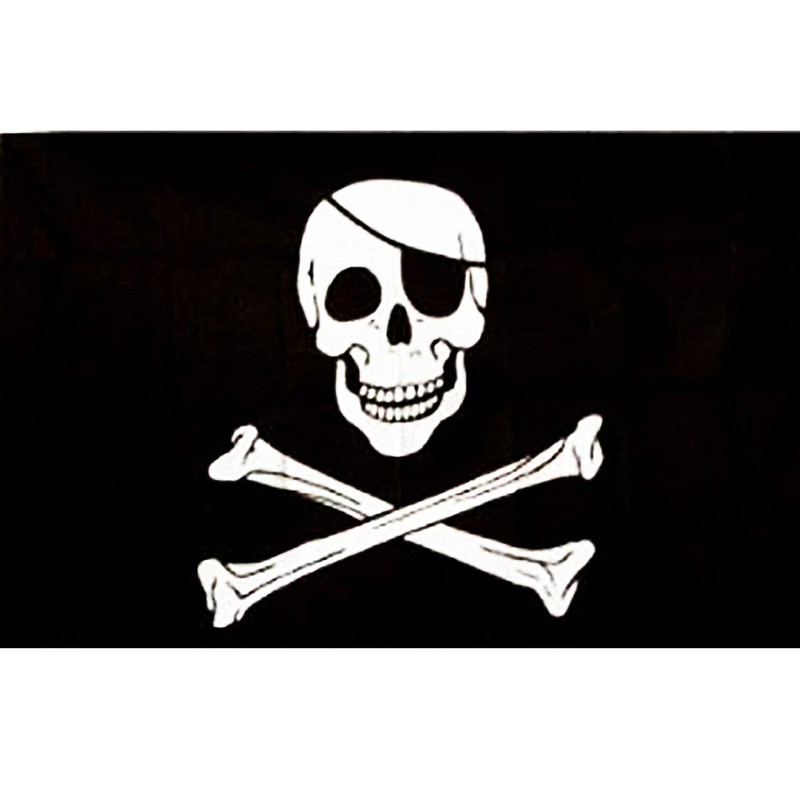 Large Pirate Flag