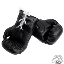 Pair mini pirate gloves