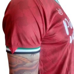 Palestine technical football shirt