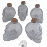 Skull glass jar