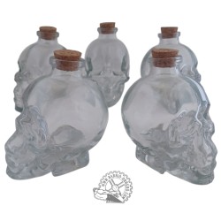 Skull glass jar