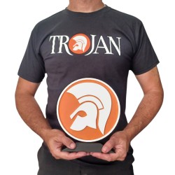 Large decorative figure Trojan helmet