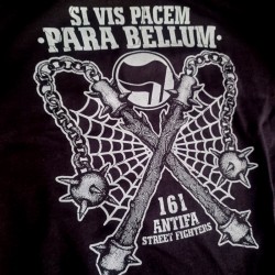 Camiseta Antifa street fighters