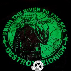 Camiseta Destroy zionism