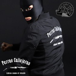 Bomber Perras Callejeras...