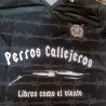 Camiseta técnica fútbol Perros Callejeros