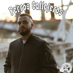 Bomber Perros Callejeros bordada