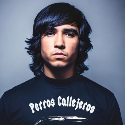 Camiseta Perros callejeros