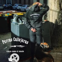 Black sheep stray jacket