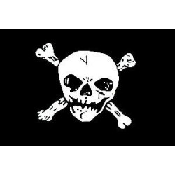Large pirate skull flag