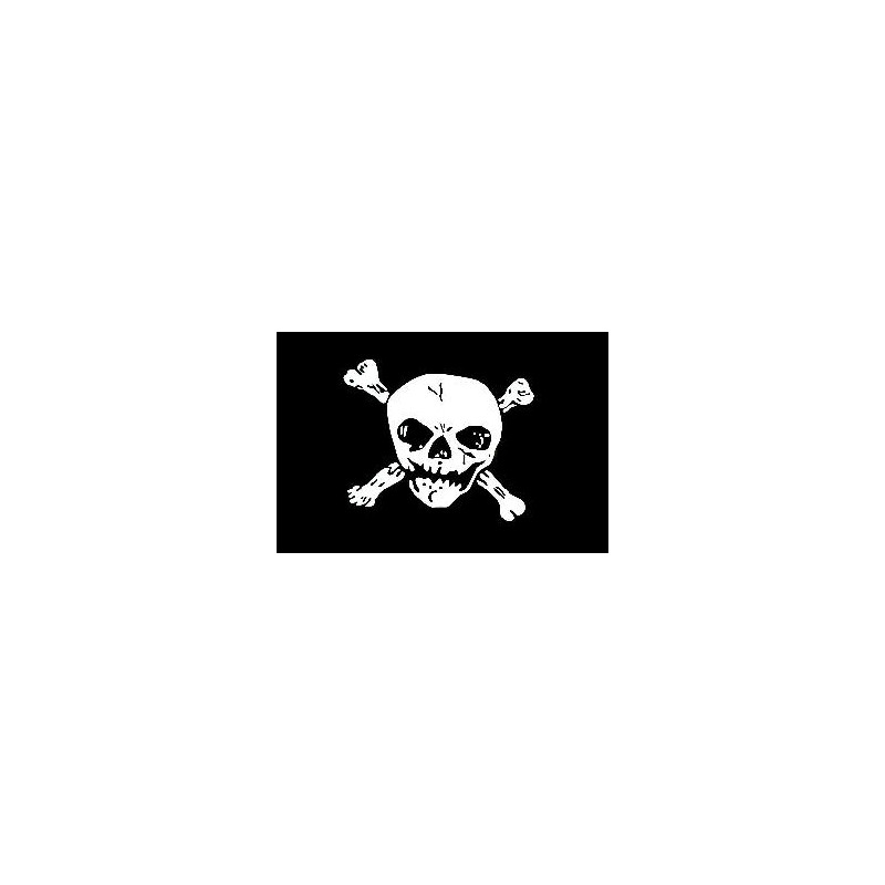 Large pirate skull flag